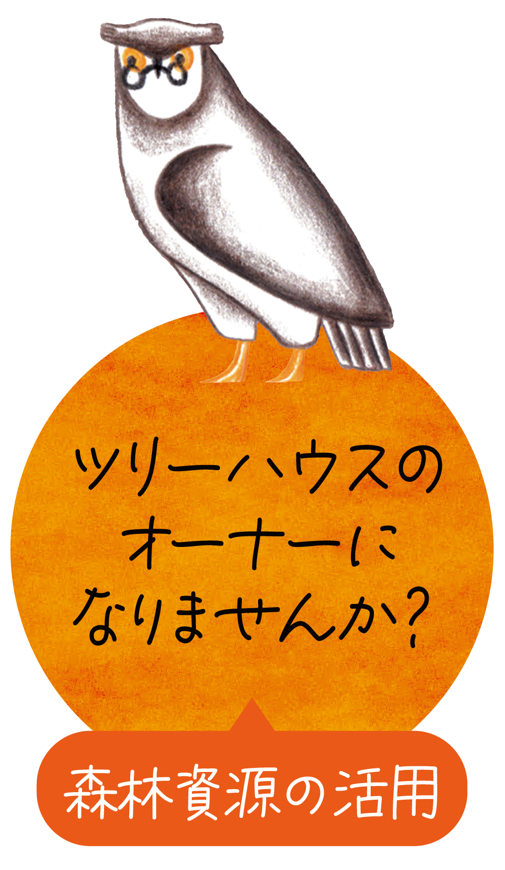 ツリーハウスのオーナーになりませんか？